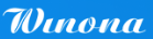 Winona eSolutions logo